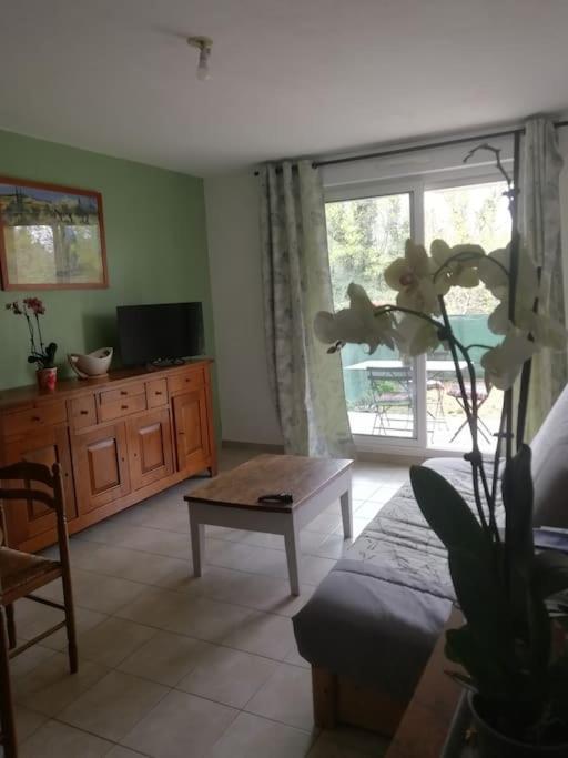 Appartement Avignon Garage-Spacieuse Terrasse Zewnętrze zdjęcie